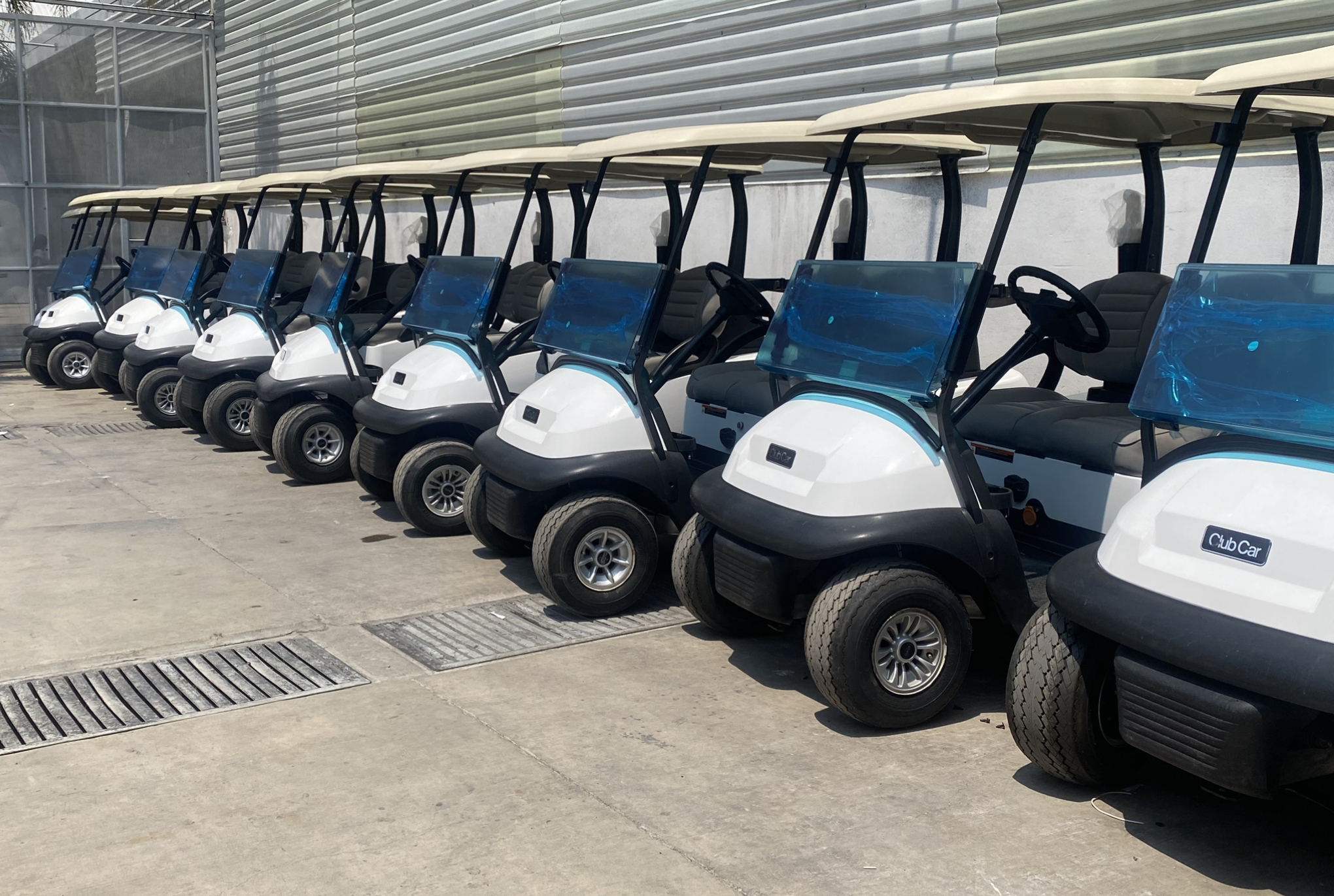 Golf Cart Fleet